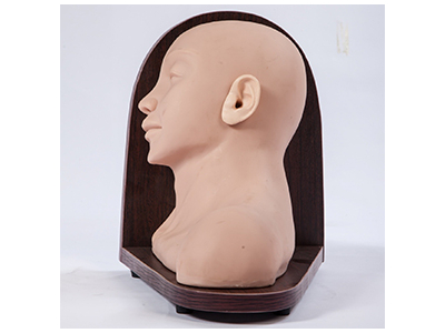 Mô hình khám tai nâng cao (25 Thương tổn)