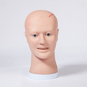 Mô hình đầu để gỡ lỗi và đào tạo khâu