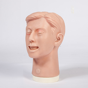 Mô hình thực hành khâu nhãn khoa