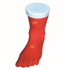 Mô hình phù nề rỗ