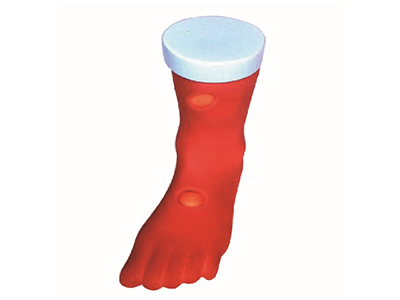 Mô hình phù nề rỗ