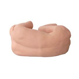 Mô hình chọc dò thắt lưng