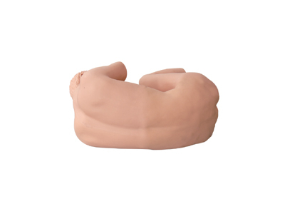 Mô hình chọc dò thắt lưng