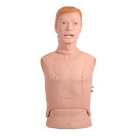 Mô hình chọc và rửa xoang hàm trên