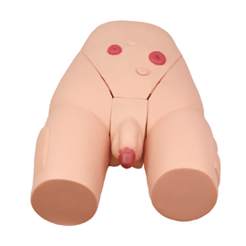 Mô hình kiểm tra bệnh liễu hoa