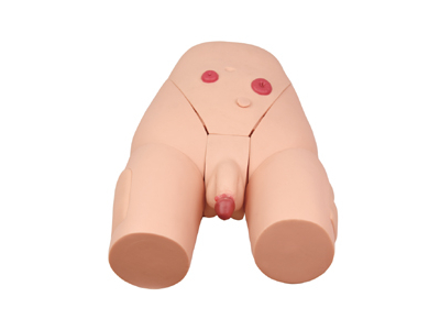 Mô hình kiểm tra bệnh liễu hoa