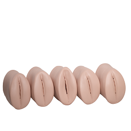 Mô hình phân hệ chuyển dạ