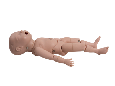 Mô hình thai nhi có dây rốn và nhau thai