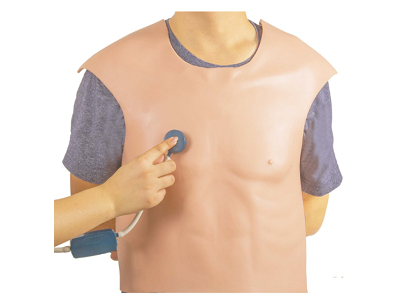 Mô hình huấn luyện viên hồi sức tim phổi