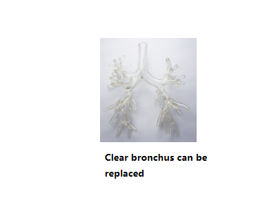 Mô hình đào tạo tích hợp cho phẫu thuật nội soi phế quản