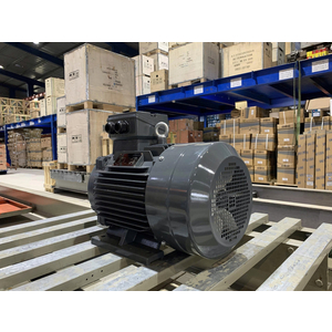 Motor 3 pha 4kW 5,5HP 4 cực vỏ gang Trung Quốc