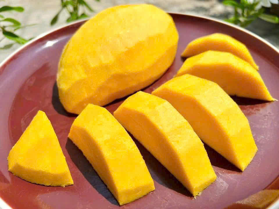 XOÀI CÁT HÒA LỘC Ủ CHÍN VIETGAP