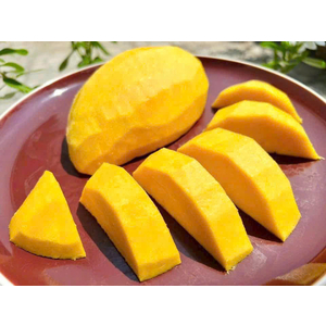 XOÀI CÁT HÒA LỘC Ủ CHÍN VIETGAP