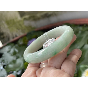 xanh táo điểm lý