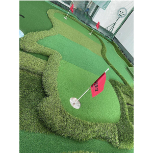 Thảm Tập Putt Nhiều Màu Độc Đáo Kích Thước 1.5mx3m - Mẫu Cánh Cụt