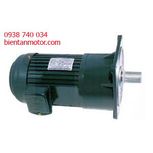 Motor giảm tốc Mặt bích, Motor giảm tốc Mặt bích GV32-400W-100S, 1/2HP