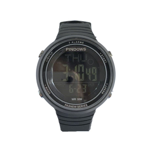 Pindows 501