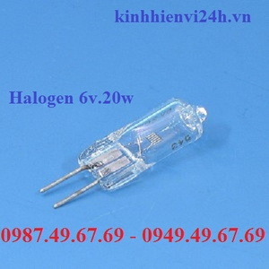 BÓNG ĐÈN HALOGEN KÍNH HIỂN VI 6V/20W, 30W, 50W, 100W