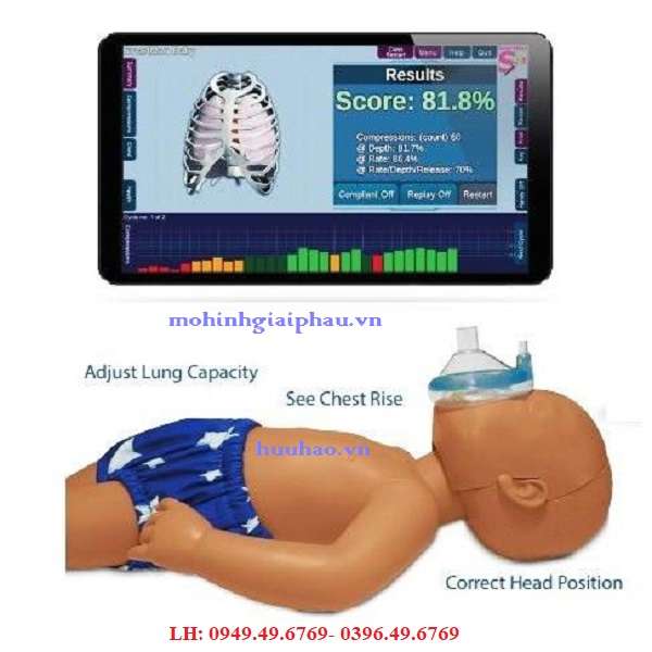 Mô hình hồi sức cấp cứu trẻ sơ sinh có kết nối máy tính Baby CPR PRO B201
