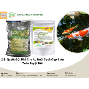 2 Bí Quyết Đột Phá Cho Ao Nuôi Sạch Đẹp & An Toàn Tuyệt Đối