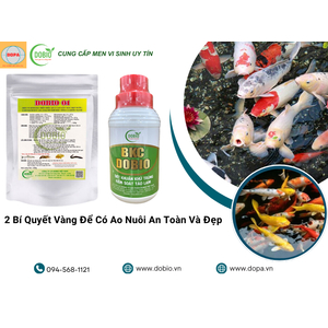 2 Bí Quyết Vàng Để Có Ao Nuôi An Toàn Và Đẹp Với DOBIO 01 & BKC DOBIO