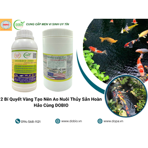 2 Bí Quyết Vàng Tạo Nên Ao Nuôi Thủy Sản Hoàn Hảo Cùng DOBIO