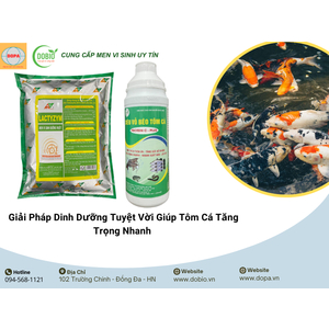 2 Giải Pháp Dinh Dưỡng Tuyệt Vời Giúp Tôm Cá Tăng Trọng Nhanh