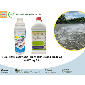 2 Giải Pháp Đột Phá Cải Thiện Dinh Dưỡng Trong Ao Nuôi Thủy Sản