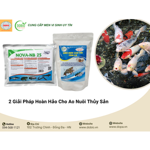 2 Giải Pháp Hoàn Hảo Cho Ao Nuôi Thủy Sản Từ DOPA và DOBIO