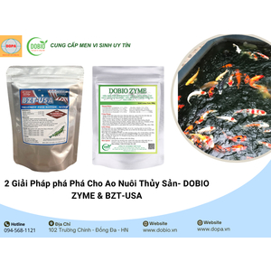 2 Giải Pháp phá Phá Cho Ao Nuôi Thủy Sản: DOBIO ZYME & BZT-USA