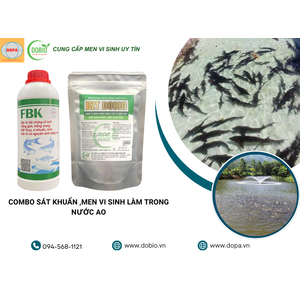 2 Giải Pháp Vàng Cho Ao Nuôi Thủy Sản: BZT DOBIO & FBK-EFF