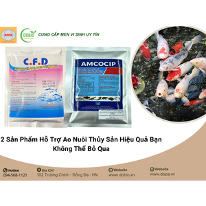 2 Sản Phẩm Hỗ Trợ Ao Nuôi Thủy Sản Hiệu Quả Bạn Không Thể Bỏ Qua