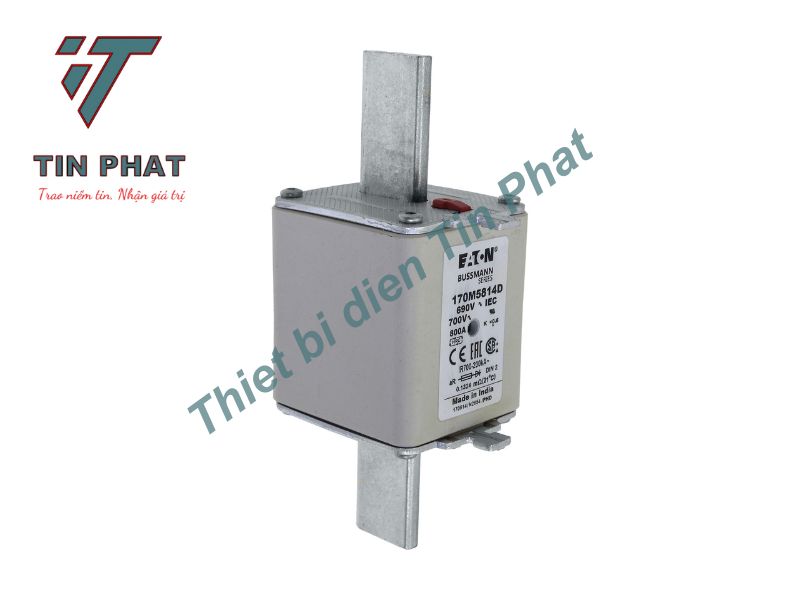CẦU CHÌ EATON BUSSMANN 170M5814D 690V 800A