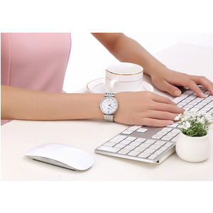 Đồng Hồ nữ GEMAX 2070-CP-DW