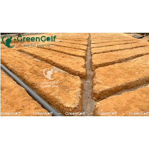 Sân Tập Golf Hạ Long, Thi Công Cỏ Golf Thật