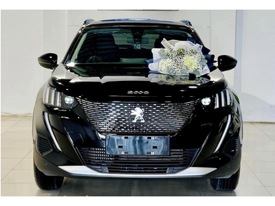 Peugeot 2008 GT Line