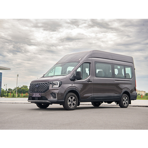 Ford Transit Limousine 10 chỗ