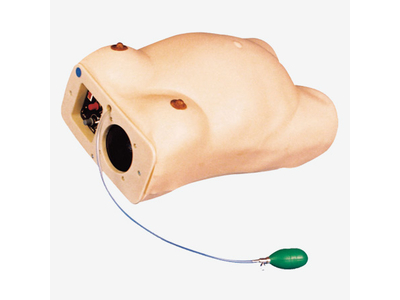 Mô hình mô phỏng quá trình kiểm tra thai sản