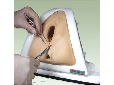 Mô hình mô phỏng quá trình cắt tầng sinh môn