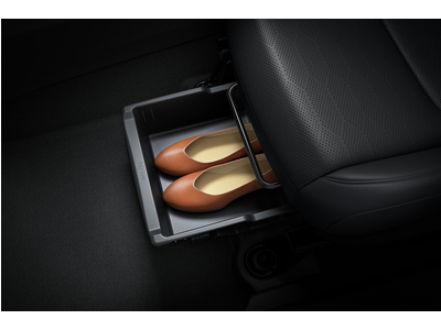 Mitsubishi Destinator