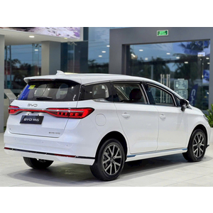 BYD M6