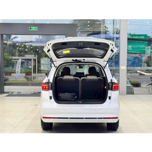 BYD M6