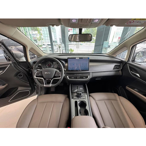 BYD M6