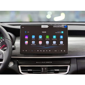 BYD M6