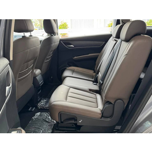 BYD M6