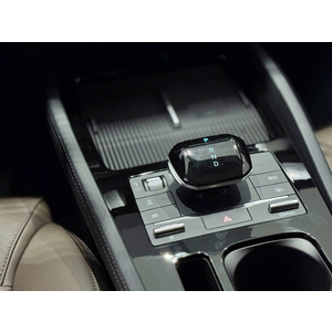 BYD M6