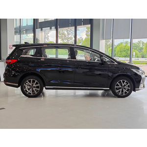 BYD M6