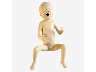 Mô hình mô phỏng trẻ sinh non (30 tuần)