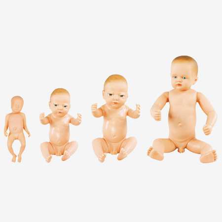 Mô hình trẻ sơ sinh