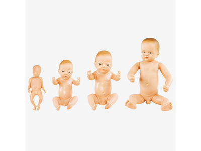 Mô hình trẻ sơ sinh